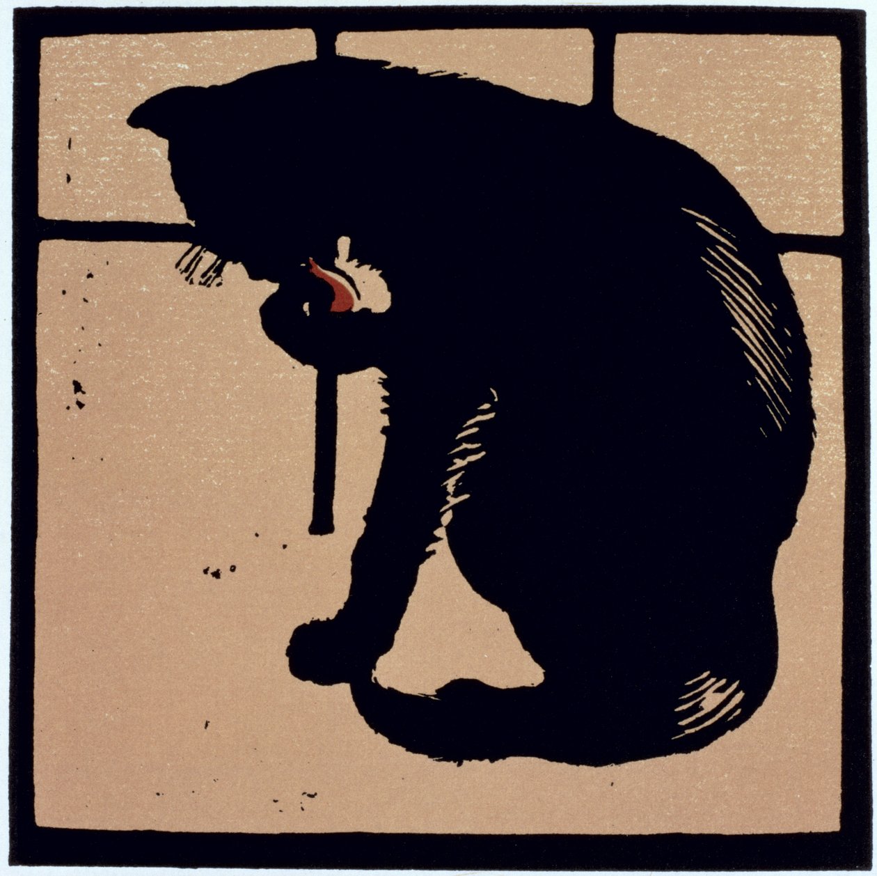 The Square Book of Animals