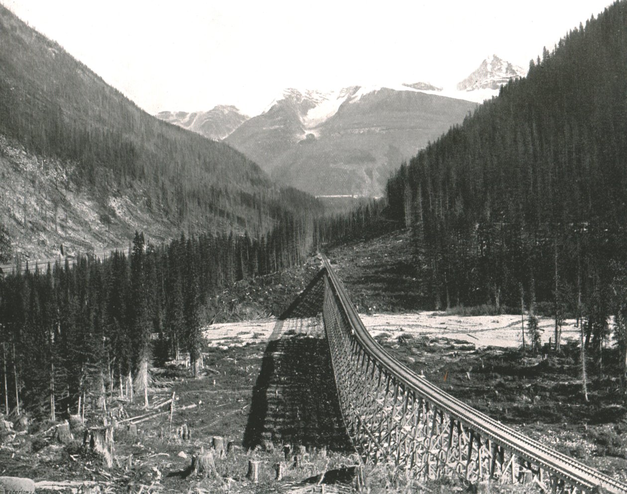 The Rockies: Döngü, dört parçayı gösteriyor, 1895. by William Notman and Son