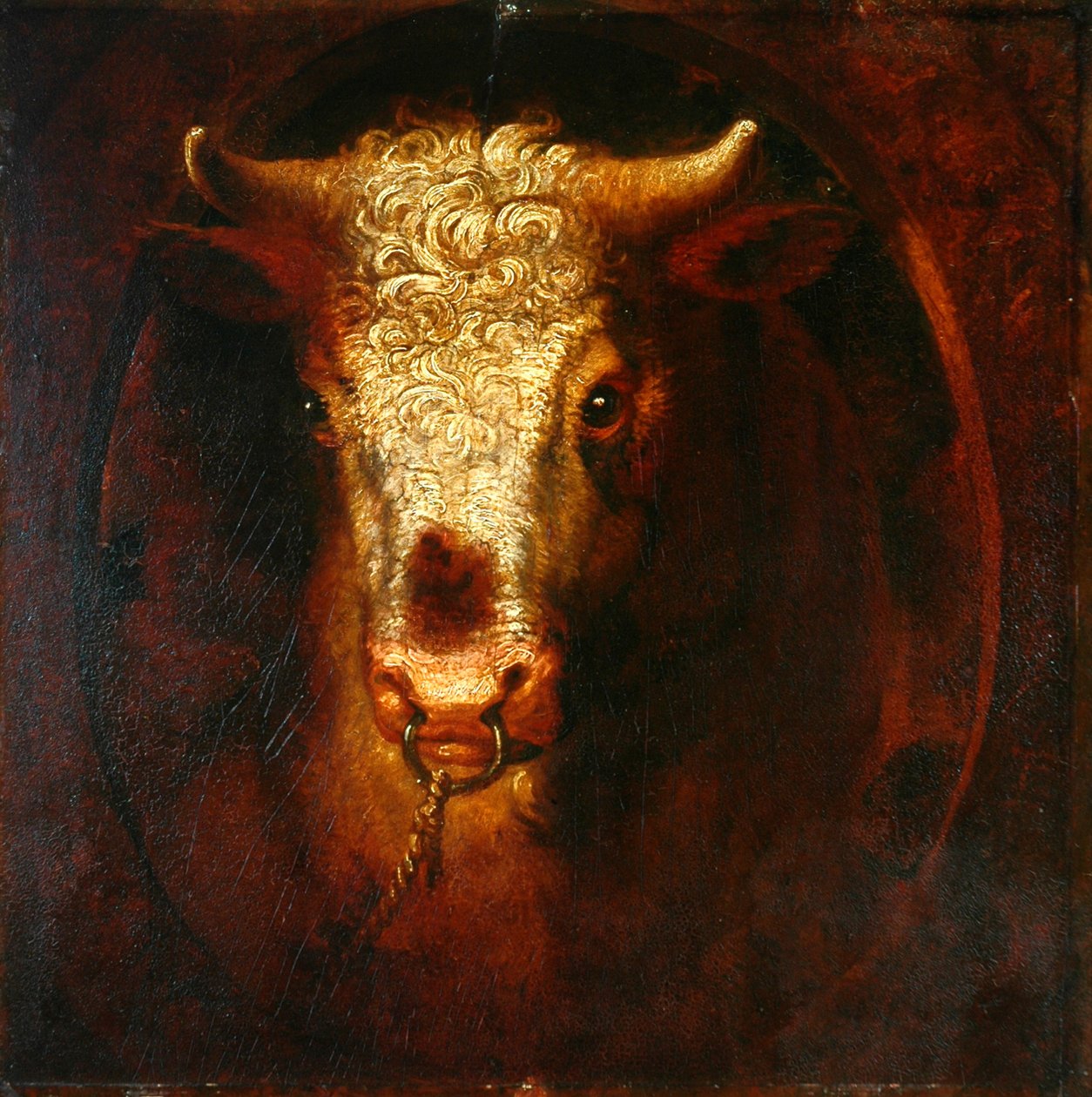 Boğa Başı (ahşap panel üzerine yağlı boya) by William Overend Geller