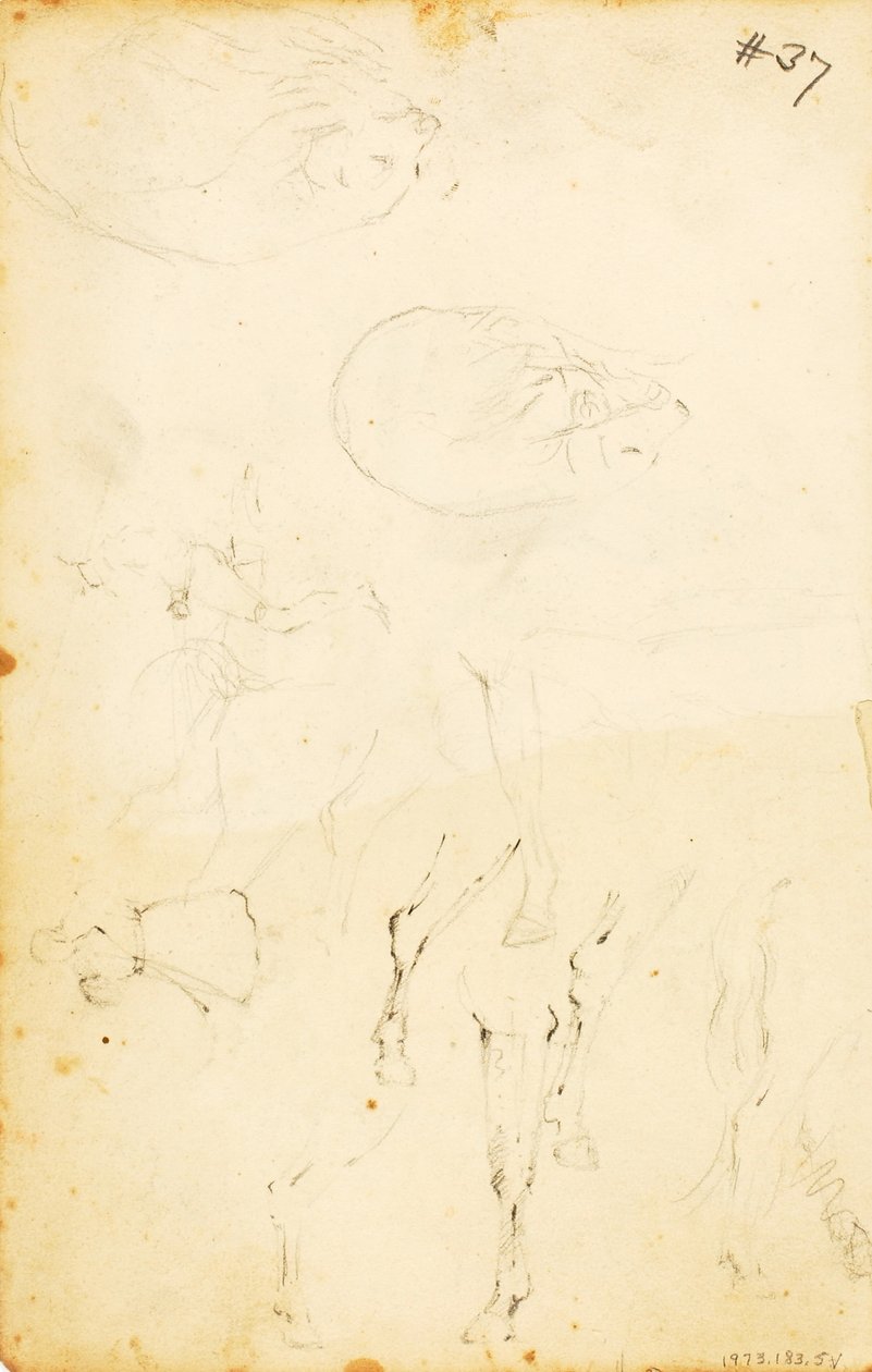  by William Page