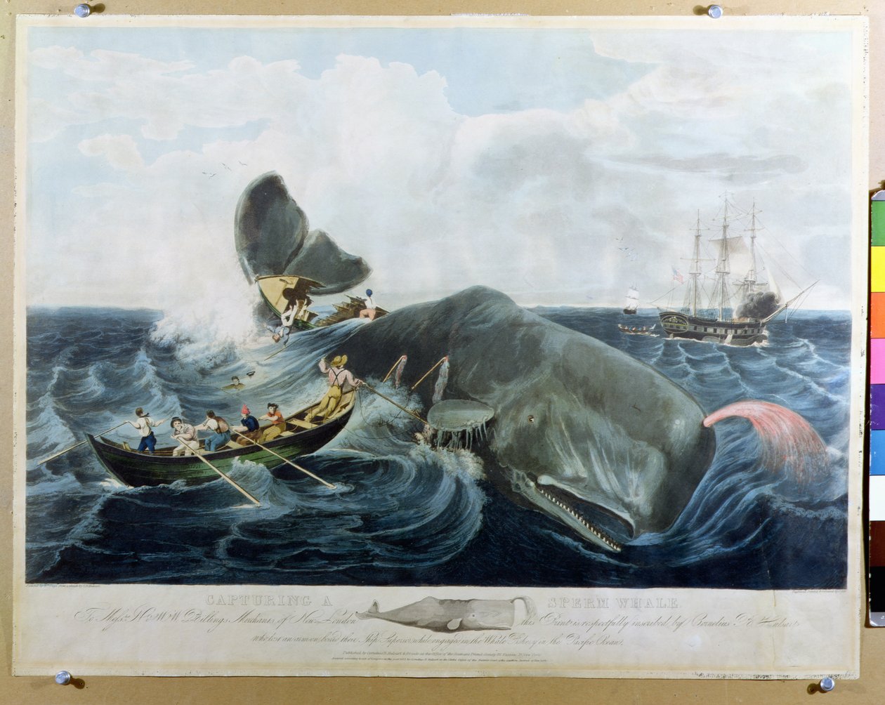 J. Hill tarafından kazınmış Sperm Balinasını Yakalamak, 1835'te yayınlandı. by William Page