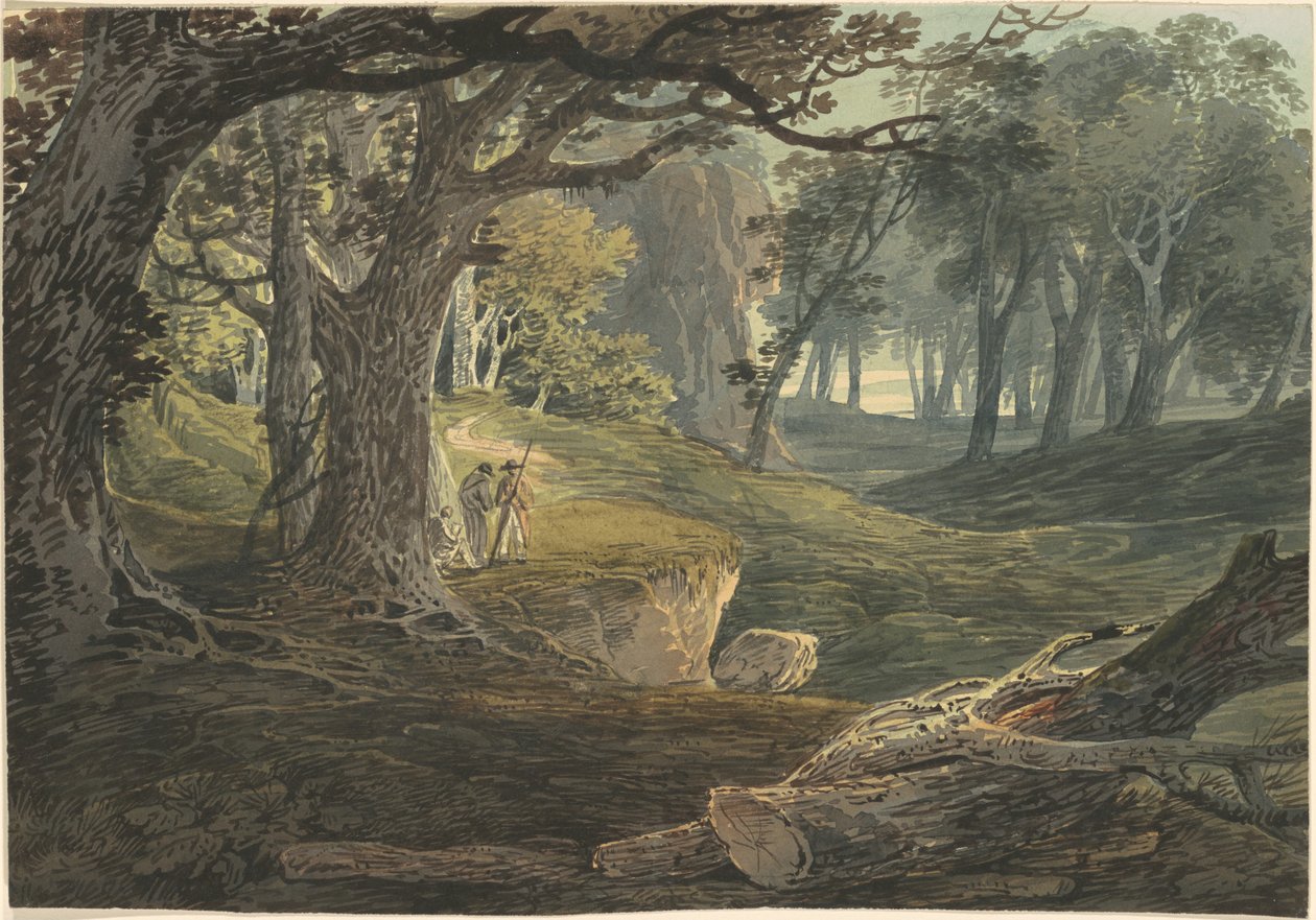 Woodland Glade