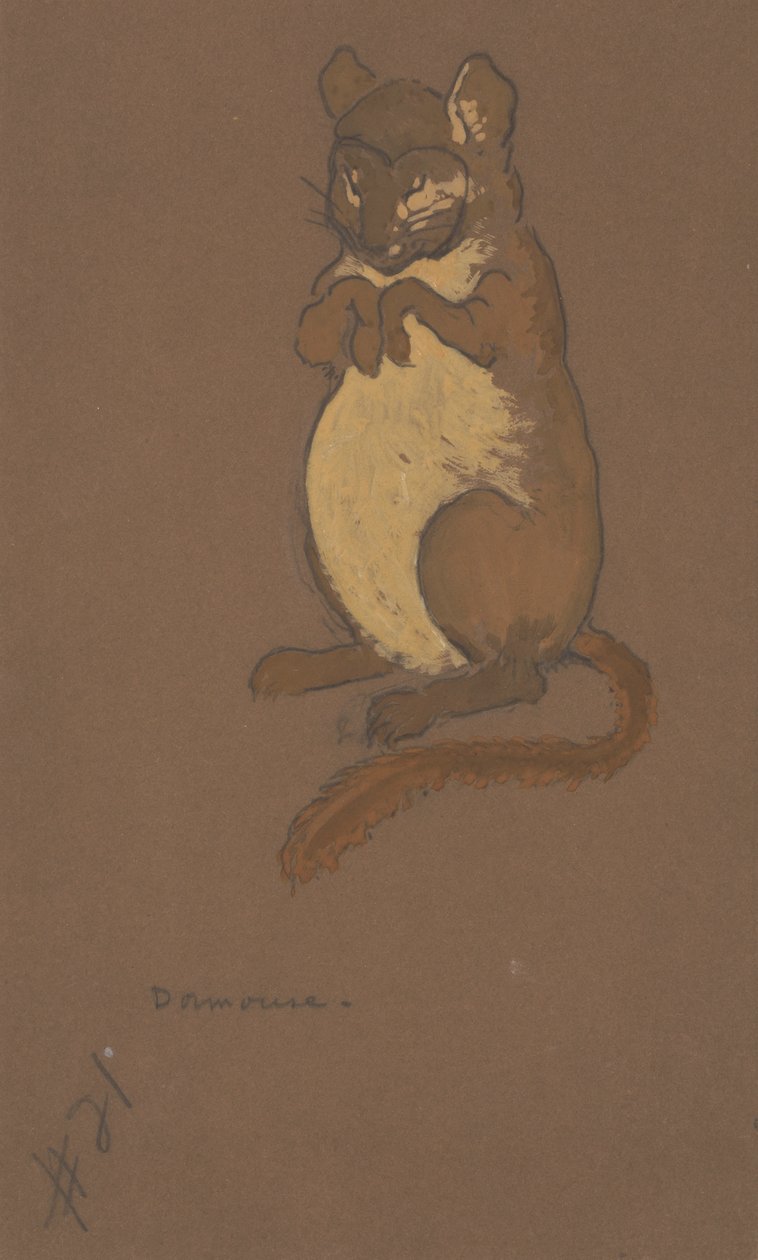 Alice Harikalar Diyarında için Fındık faresi kostüm tasarımı, 1915. by William Penhallow Henderson