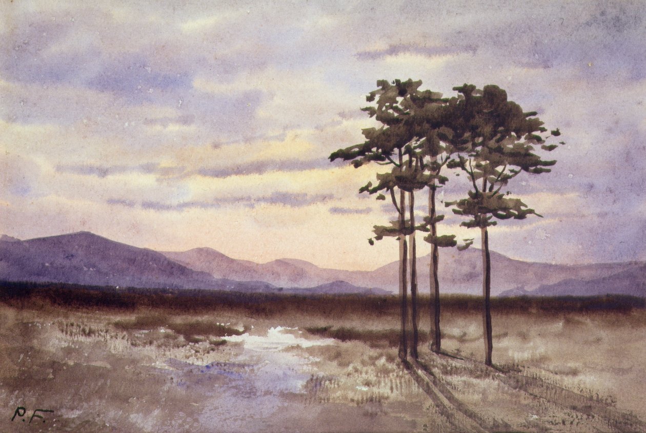 Sunset, County Sligo (kağıt üzerine suluboya) by William Percy French