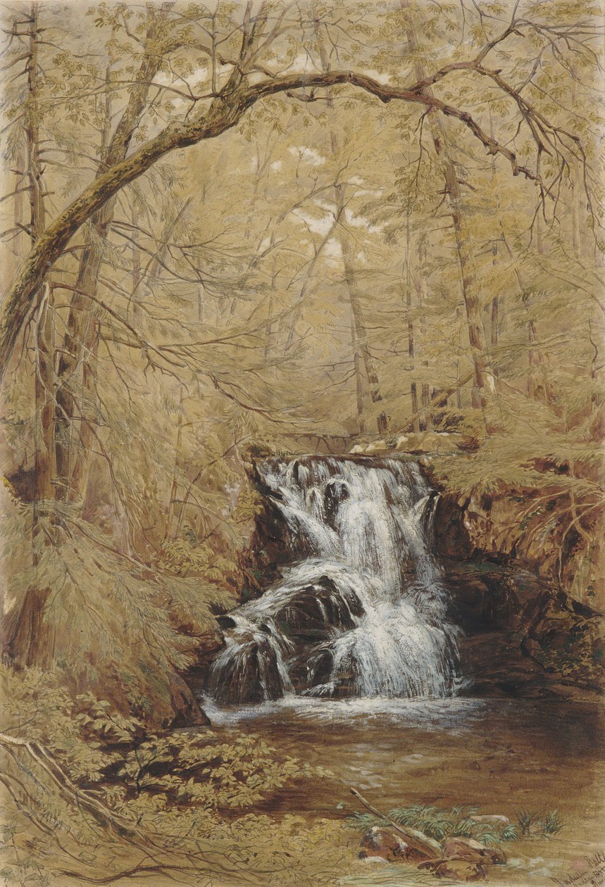 Indian Falls, Indian Brook, Cold Springs, New York, 1850. by William Rickarby Miller