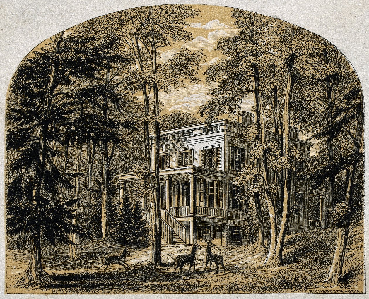 James John Audubon'un evi "Minniesland", pub. C 1861 (ahşap oyma) by William Rickarby Miller