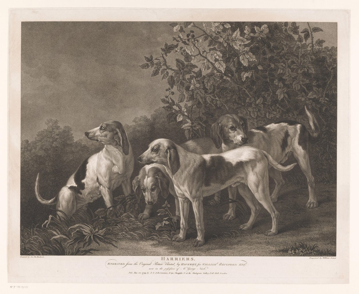 dört av köpeği Harriers (nesne üzerindeki başlık) by William Satchwell Leney