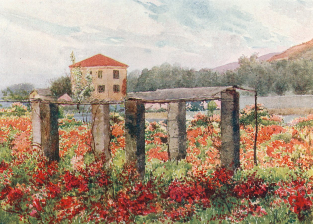  by William Scott