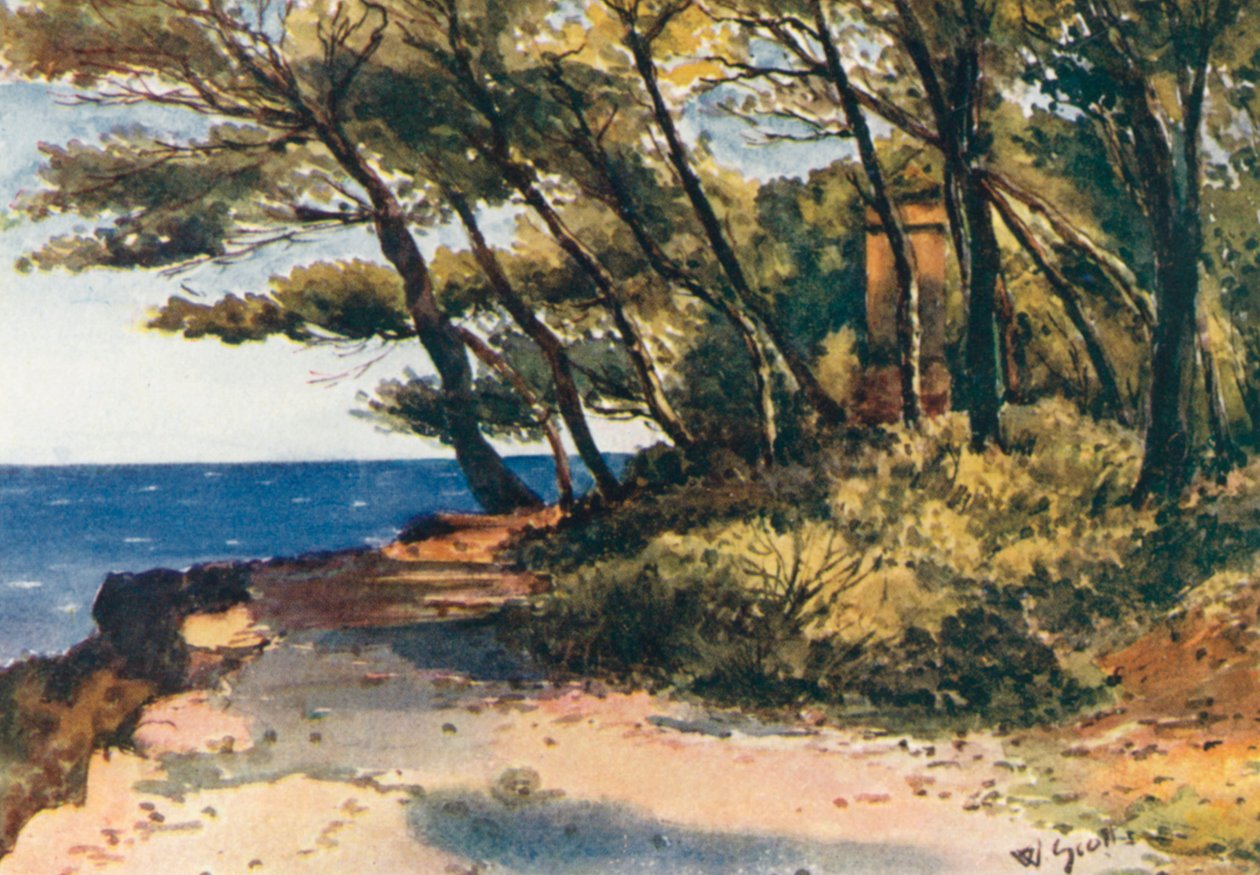  by William Scott