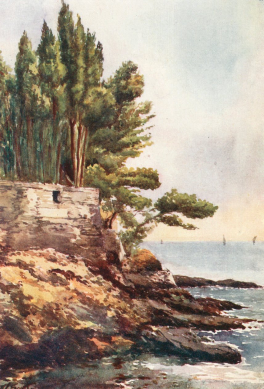  by William Scott