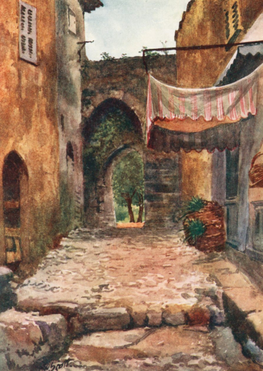  by William Scott