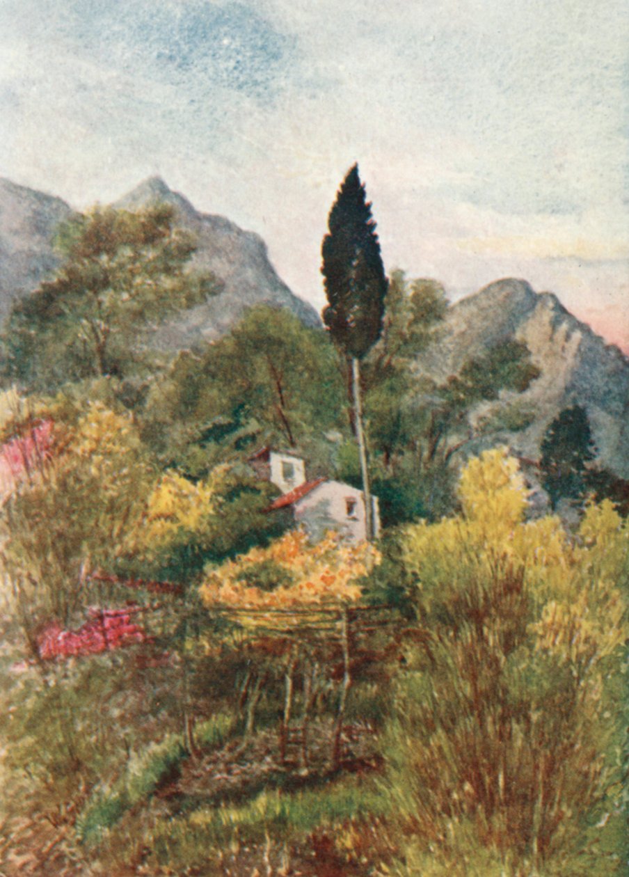  by William Scott