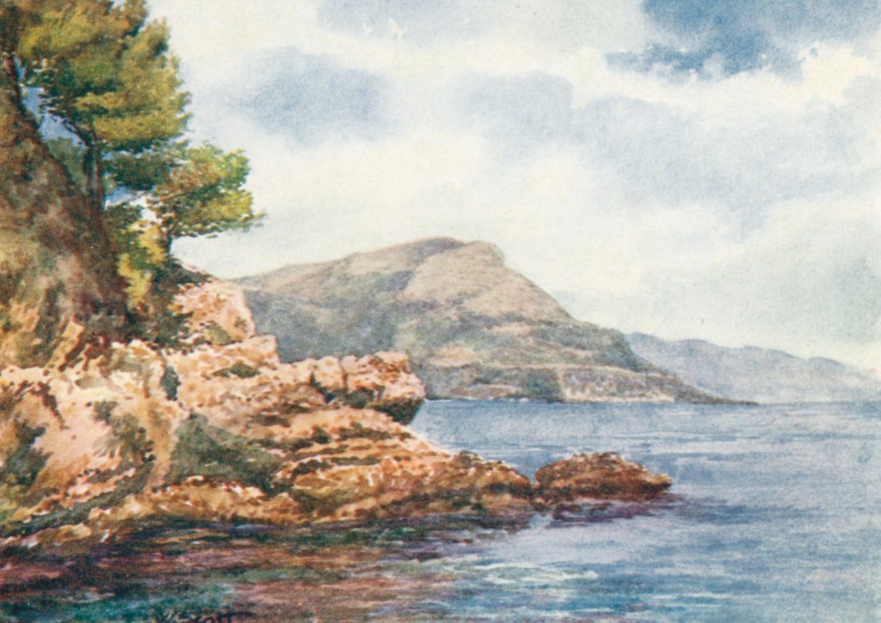  by William Scott