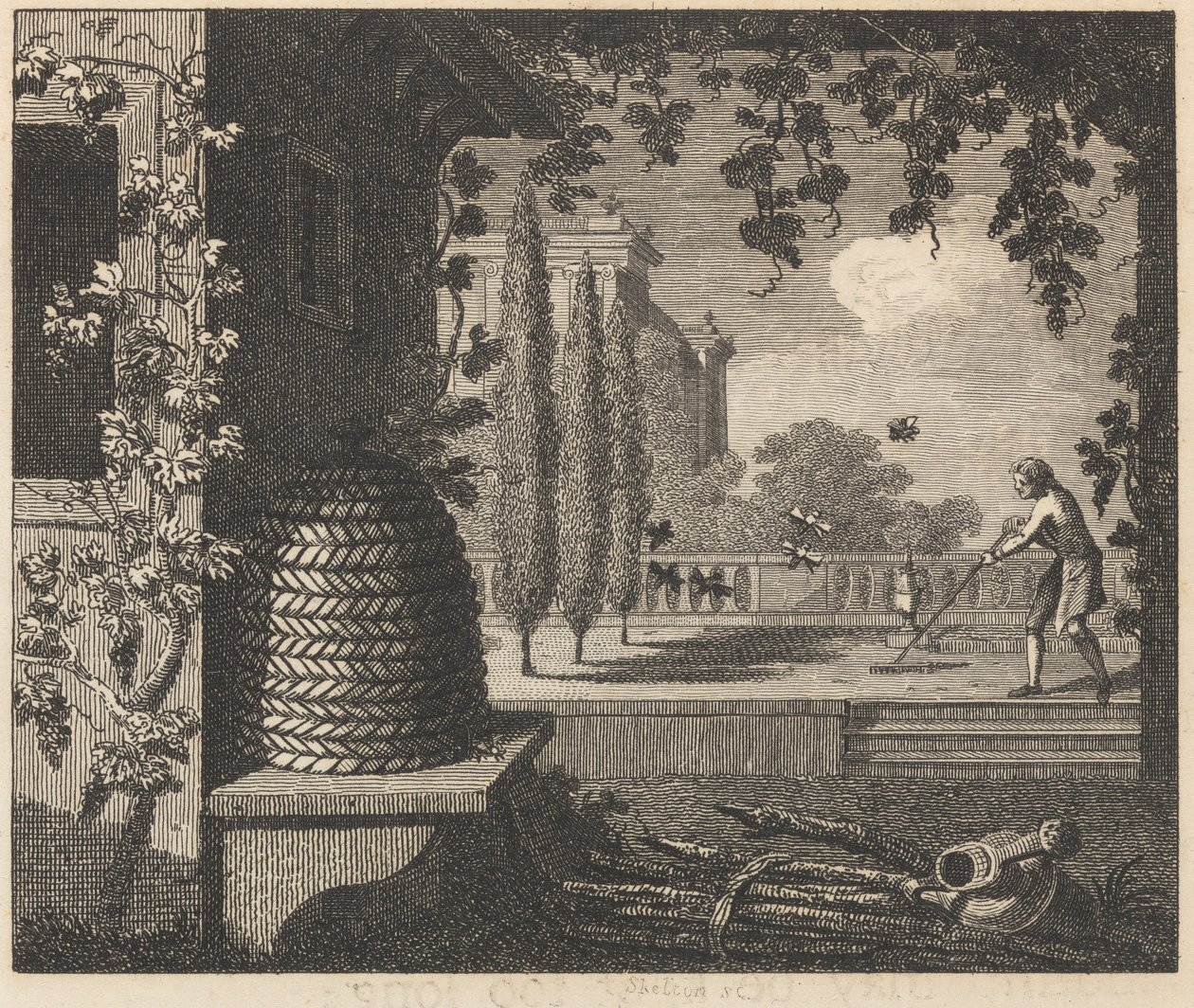 Dejenere Arılar by William Skelton