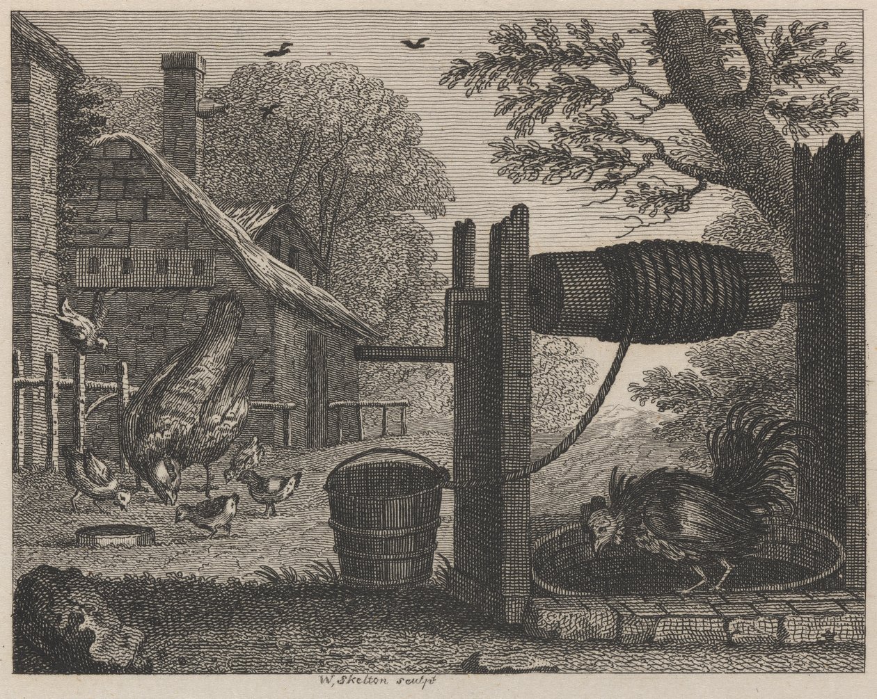 Yaşlı Tavuk ve Horoz by William Skelton