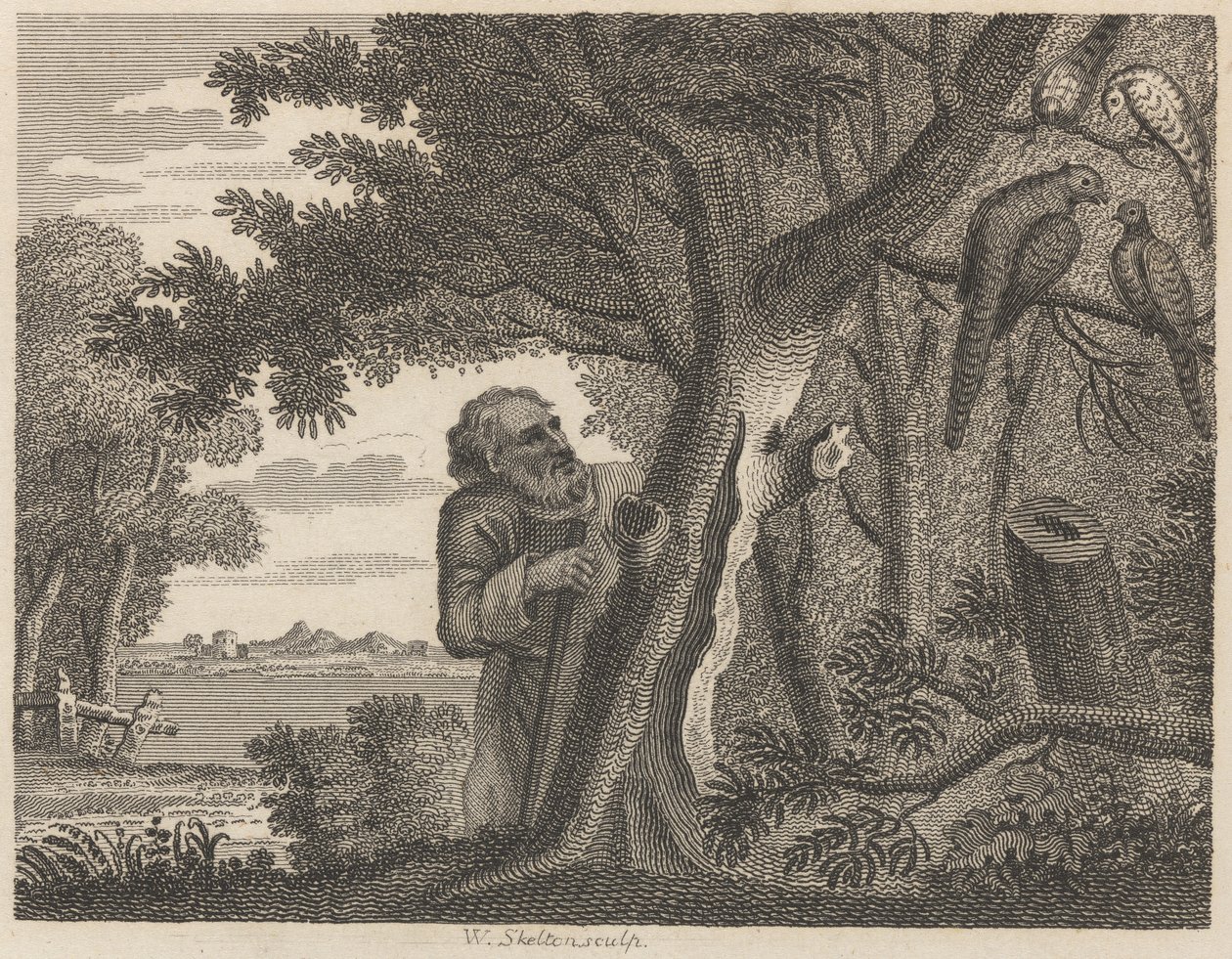 Filozof ve Sülünler by William Skelton