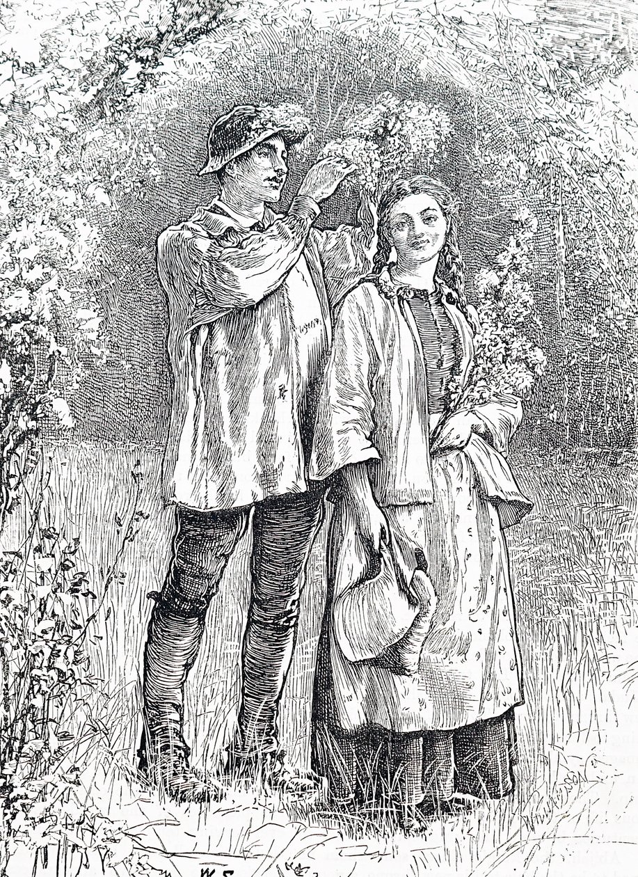 Mayıs Kraliçesinin sevgilisi tarafından alıç çelengi ile taçlandırılması. İngiliz illüstratör William Small (1843-1929) tarafından by William Small