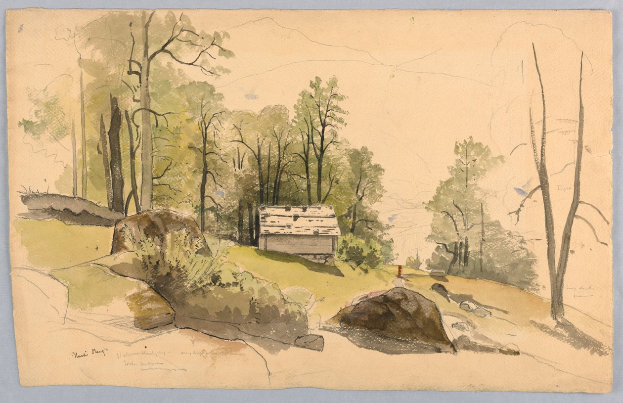 Peyzaj çalışması, Hasliberg, İsviçre by William Stanley Haseltine