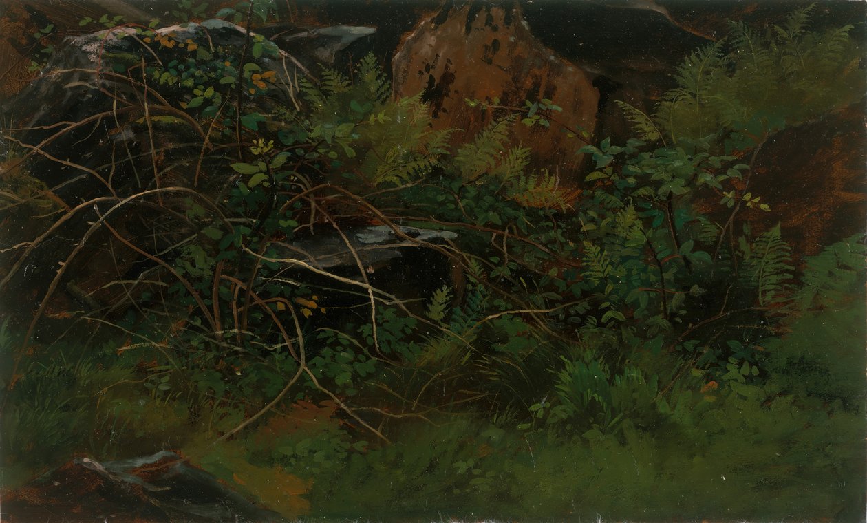 Doğadan Eğitim. by William Stanley Haseltine