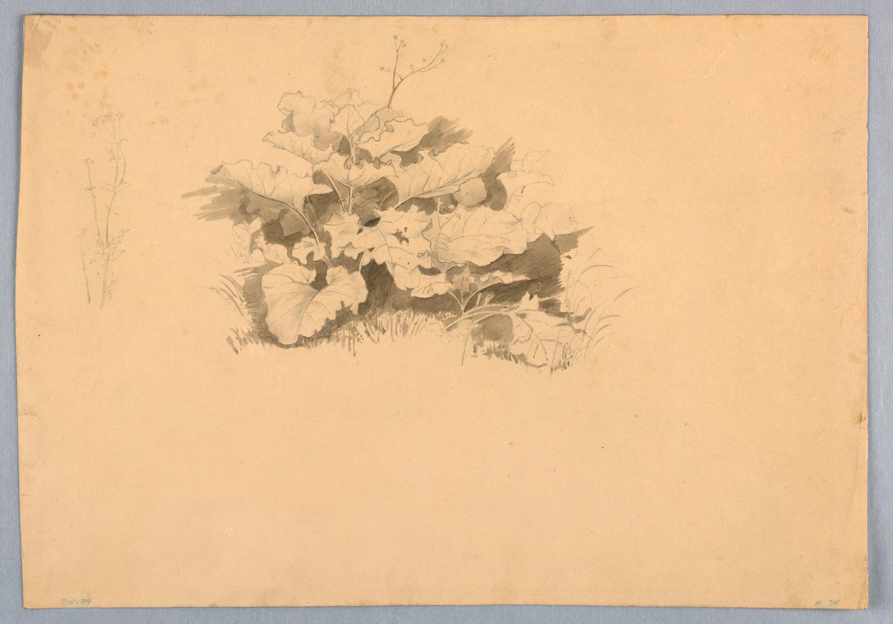 Yeşillik çalışması by William Stanley Haseltine