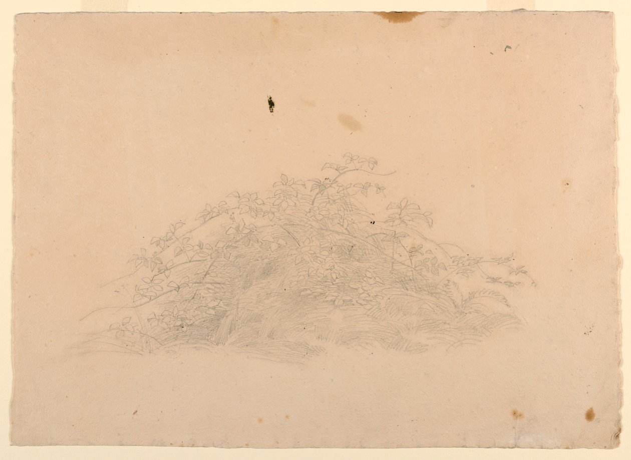 Yeşillik çalışması by William Stanley Haseltine