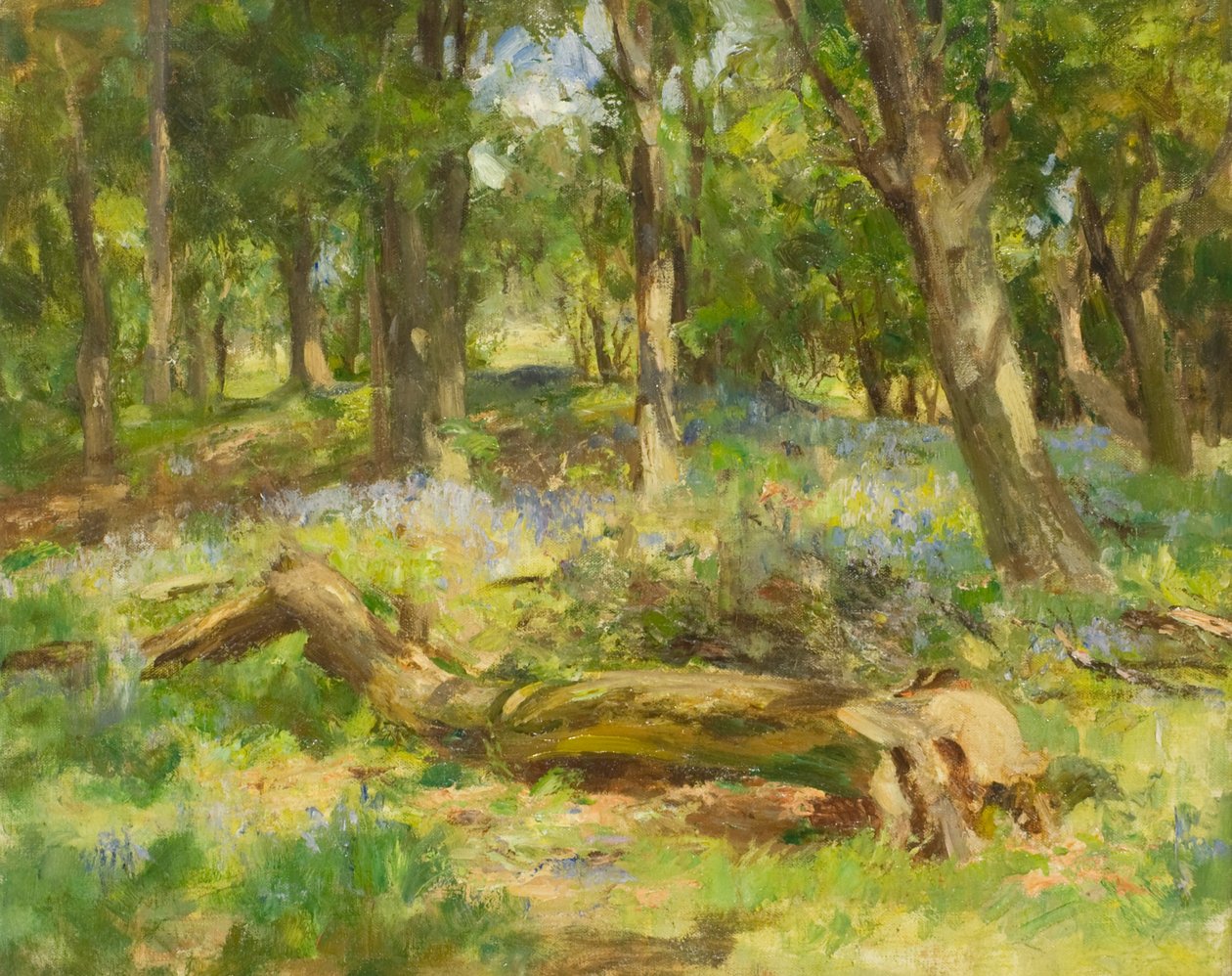 Orman Manzarası (tuval üzerine yağlı boya) by William Stewart MacGeorge