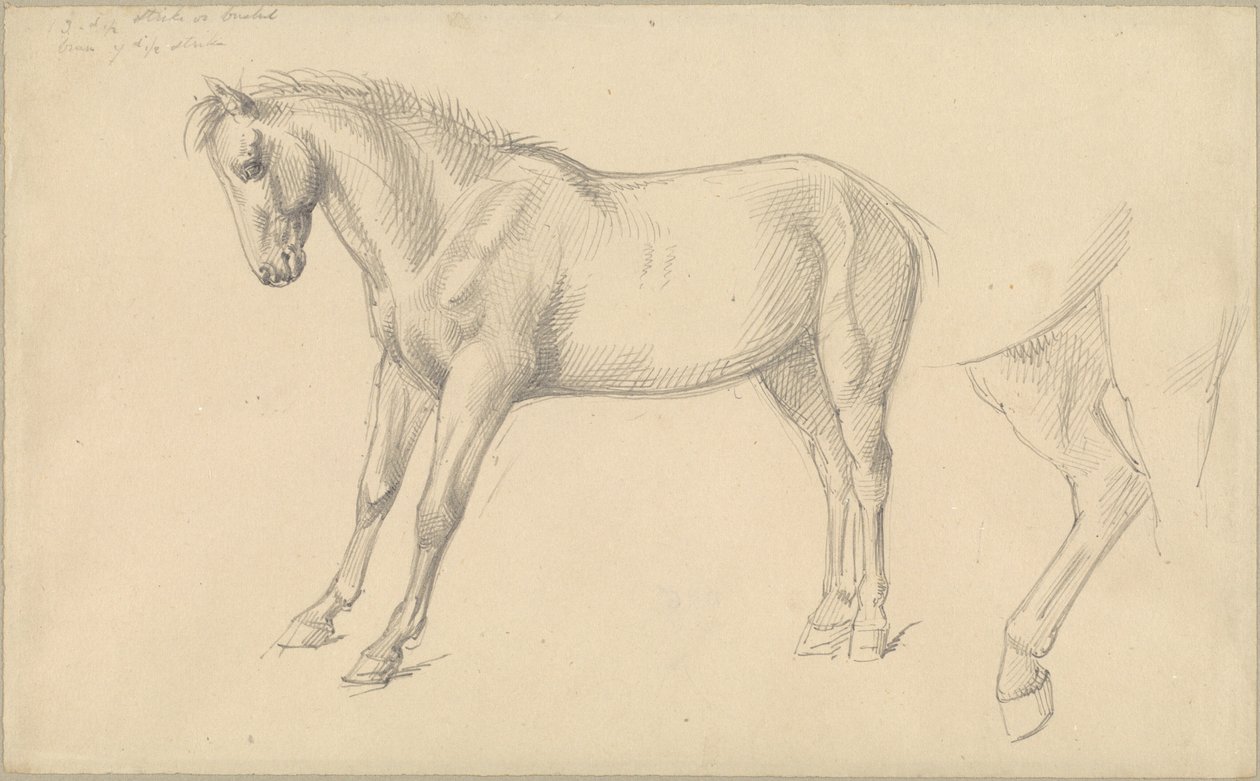 Midilli Çalışmaları by William Strutt