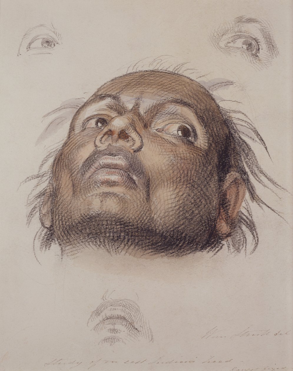 Bir Doğu Kızılderili Kafasının Çalışması, c.1875 (kağıt üzerinde pastel boya ve yıkama) by William Strutt