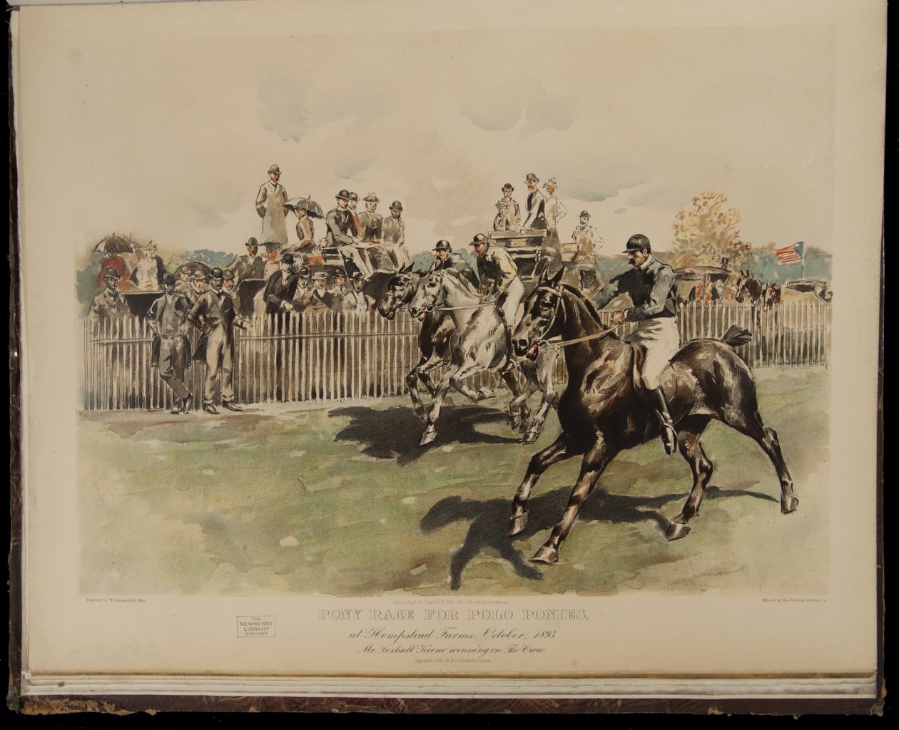 Polo Ponyleri için Pony Yarışı by William Sullivant Vanderbilt Allen