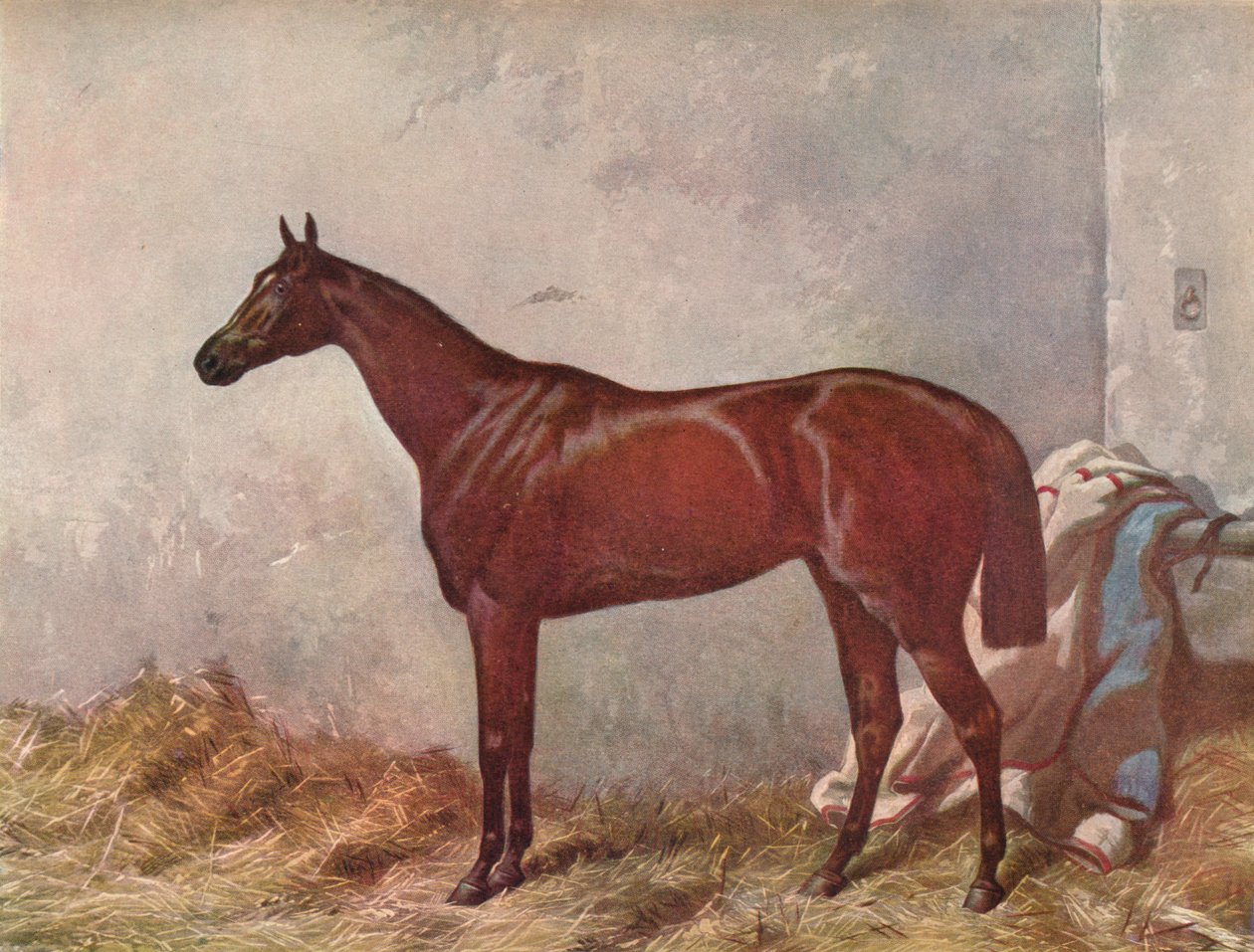 Hermit: Epsom