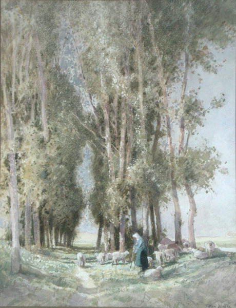 Bir Çoban ve Sürüsü, Hollanda (kağıt üzerine suluboya) by William Tatton Winter
