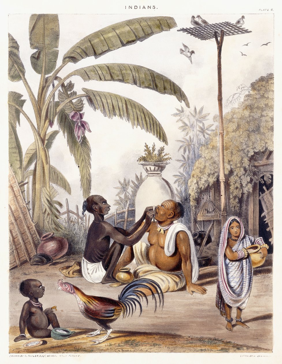 Köy Berberi, 1842 by William Tayler