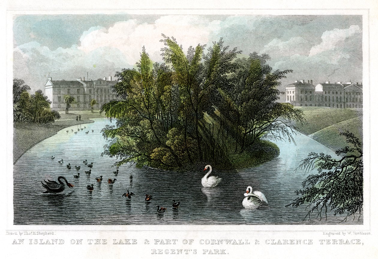 Göldeki ada ve Cornwall ve Clarence Terraces