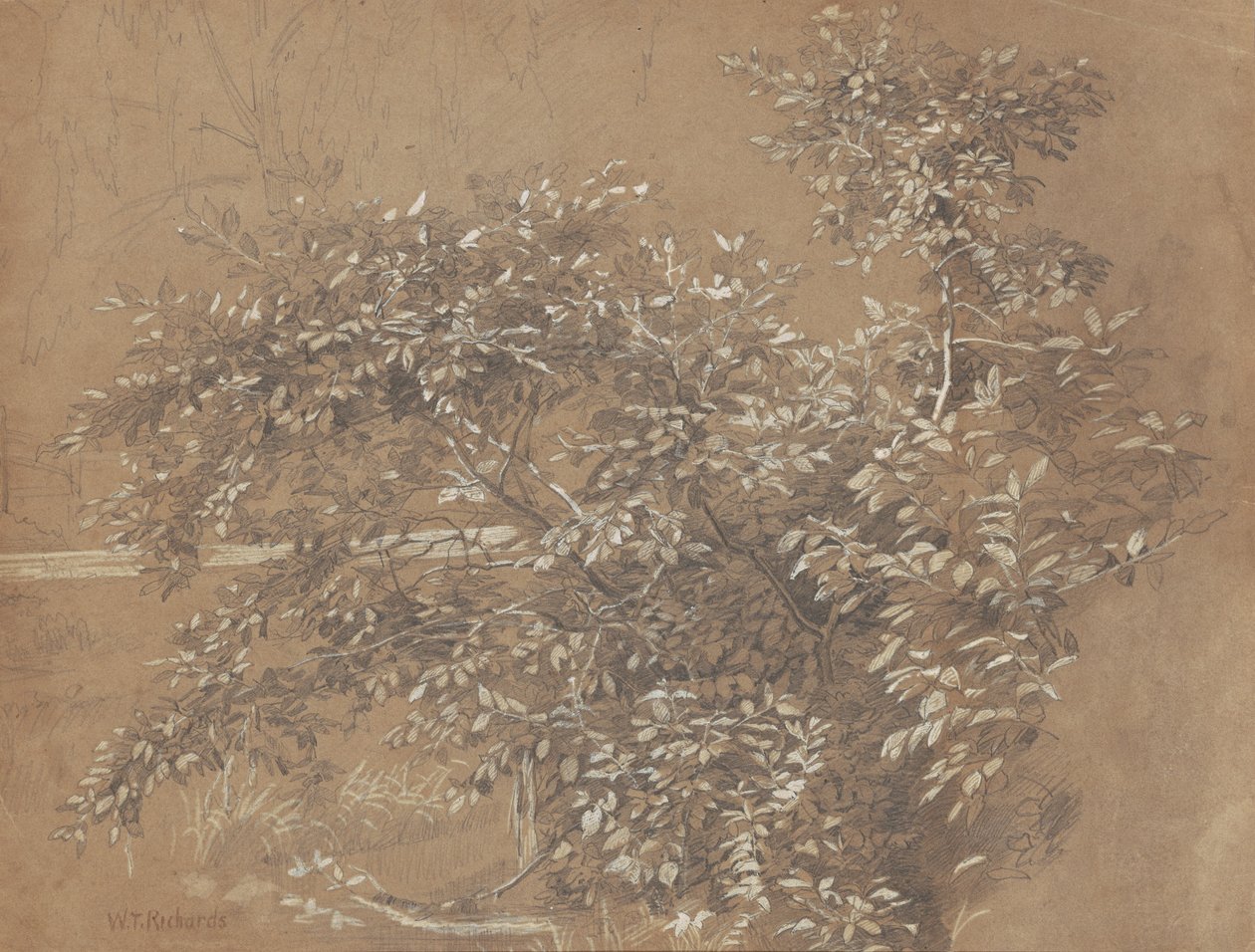 Yeşillik by William Trost Richards
