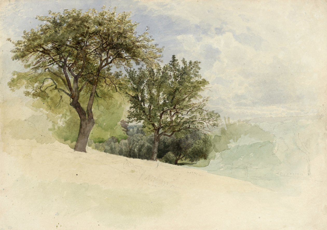 Bir Yamaçta Ağaçlarla Peyzaj, 1880-85 (klozet, grafit ve kremalı kalın dokuma kağıt üzerine beyaz guaj dokunuşları) by William Trost Richards