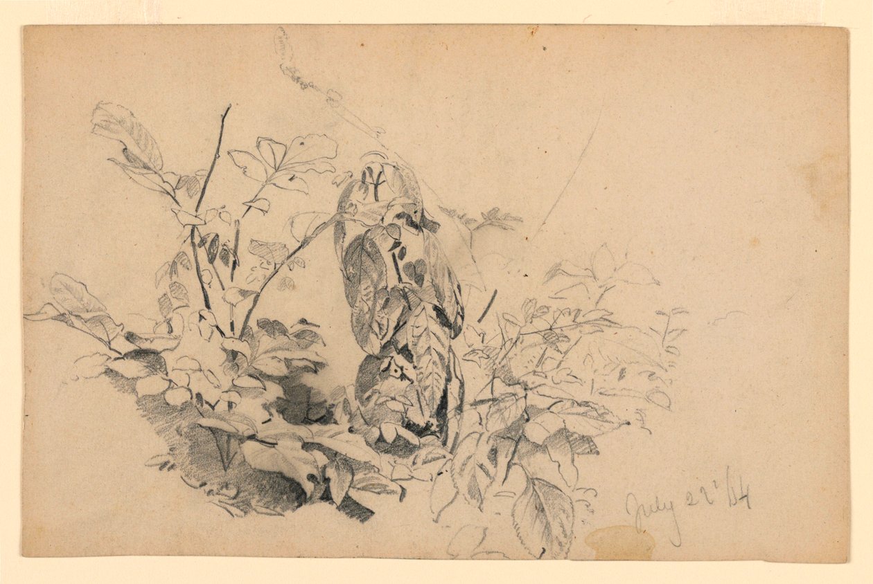 Yeşillik çalışması by William Trost Richards