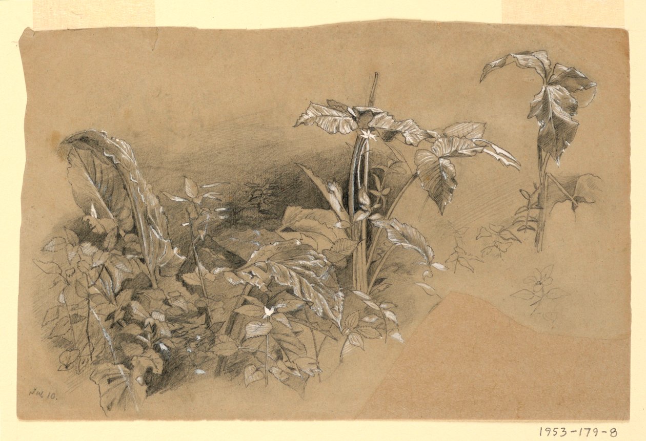 Yeşillik çalışması by William Trost Richards