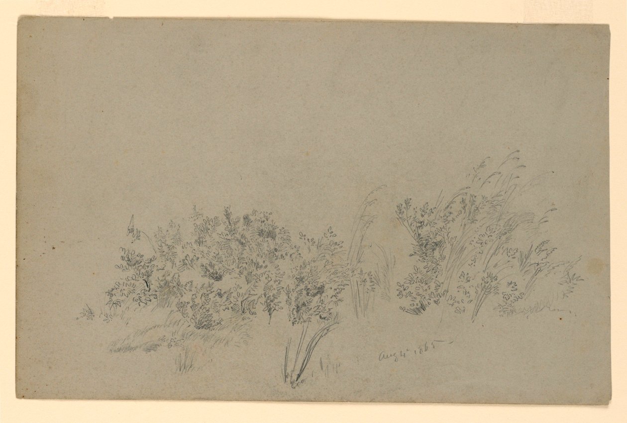 Yeşillik çalışması by William Trost Richards