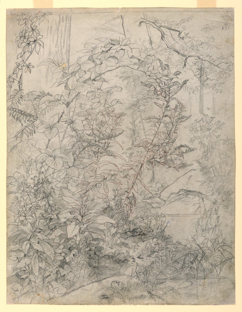 Yeşillik çalışması by William Trost Richards
