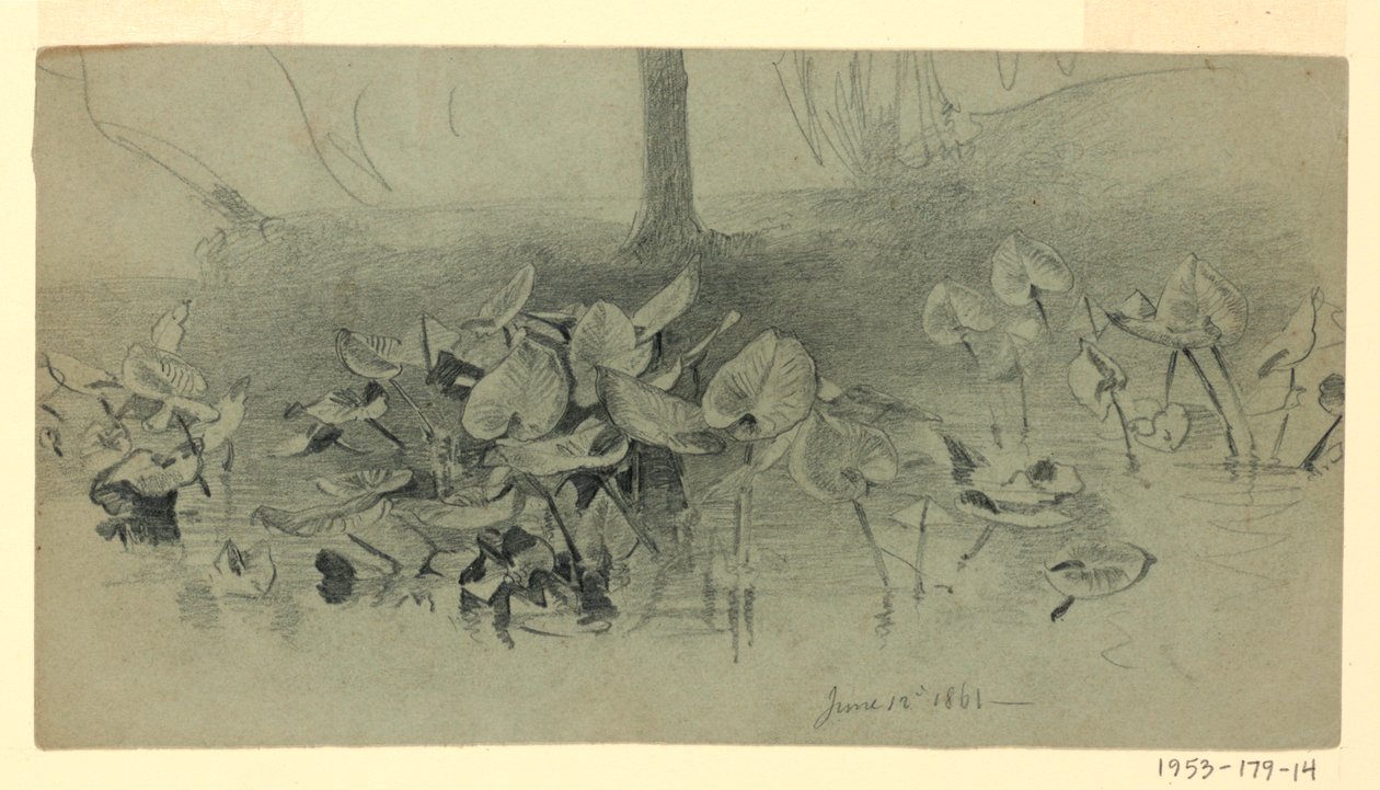 Yeşillik çalışması by William Trost Richards