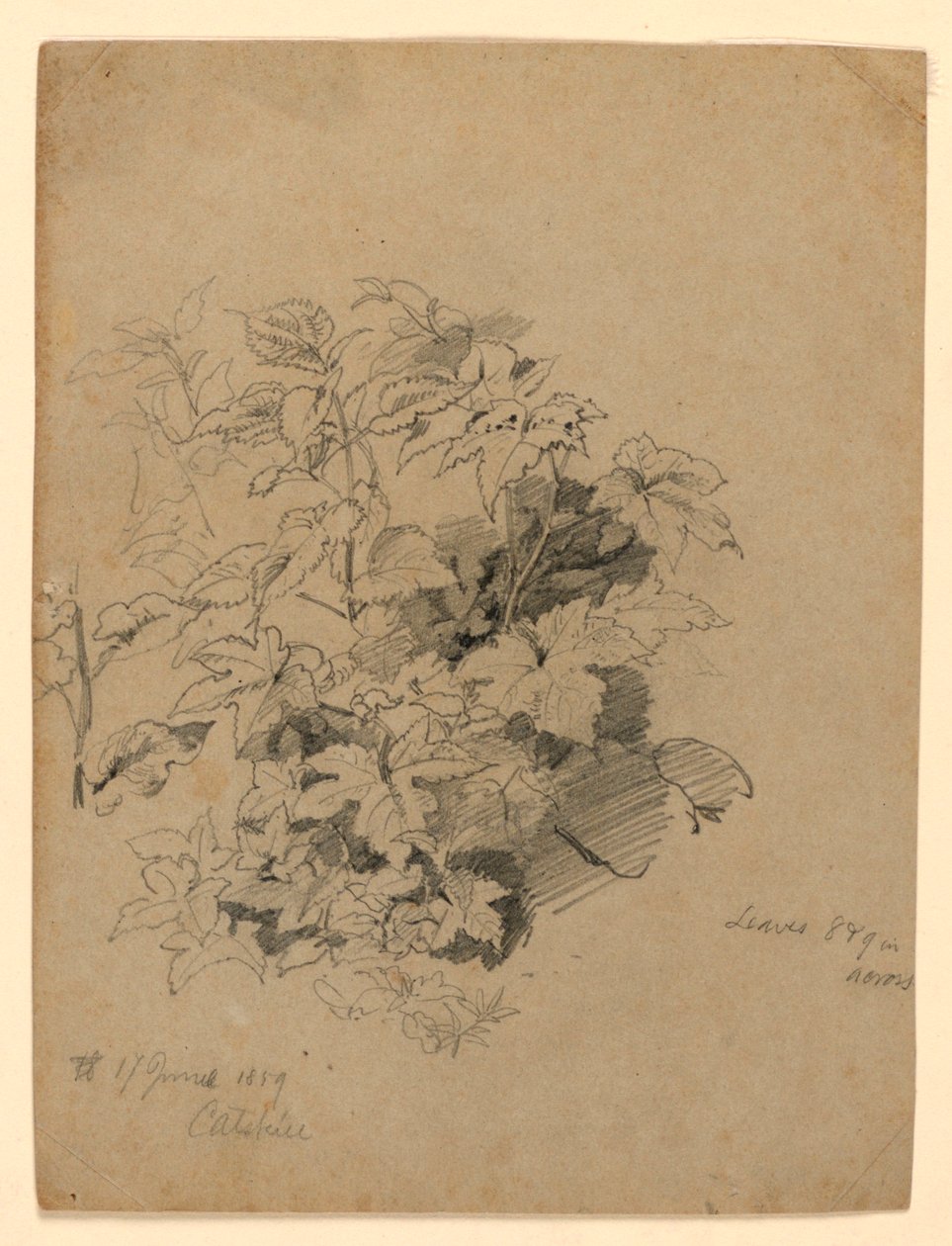 Yeşillik çalışması by William Trost Richards