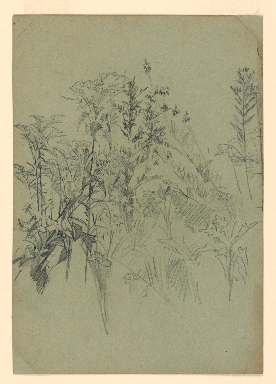 Yeşillik çalışması by William Trost Richards