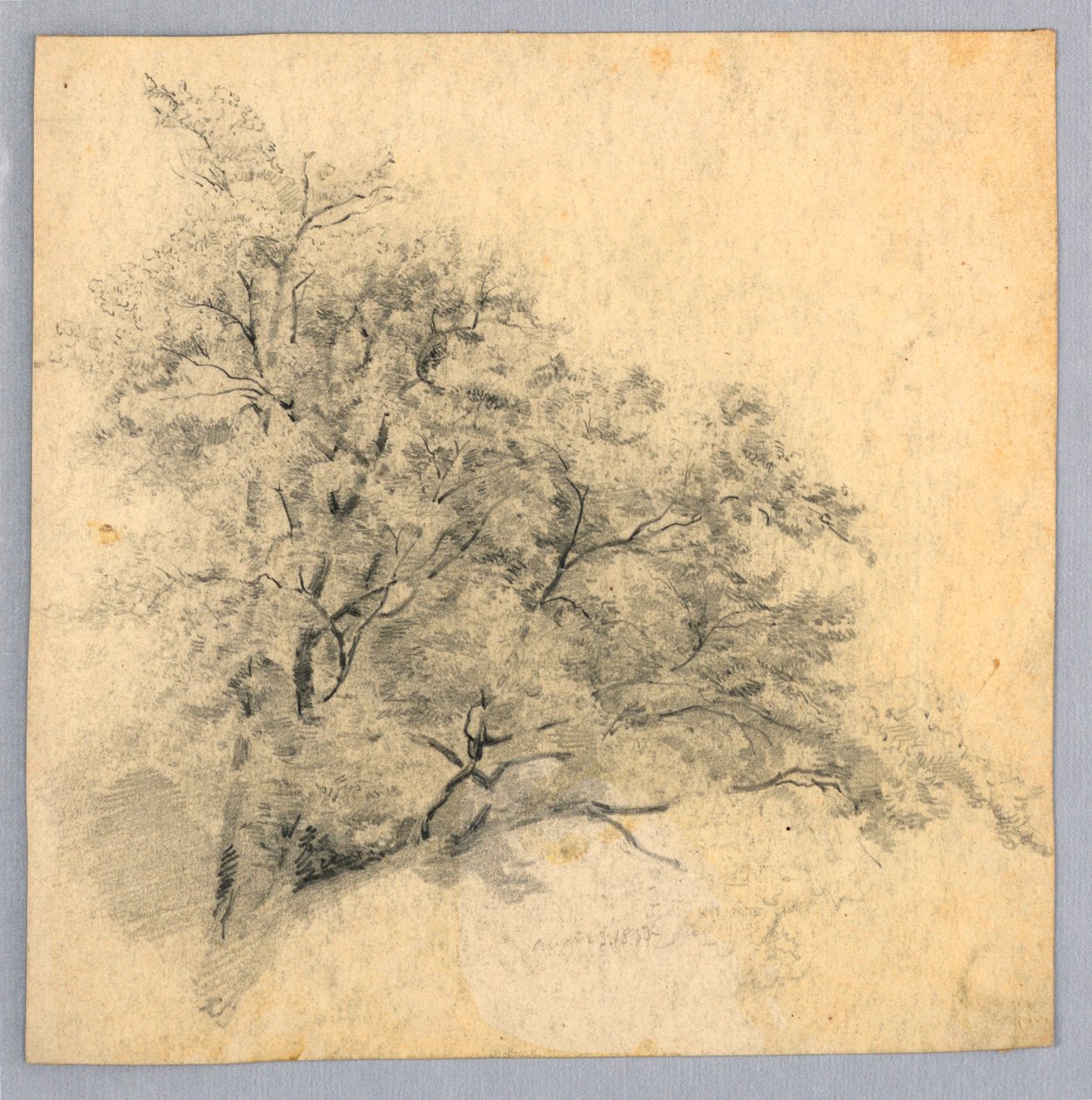 Yeşillik çalışması by William Trost Richards