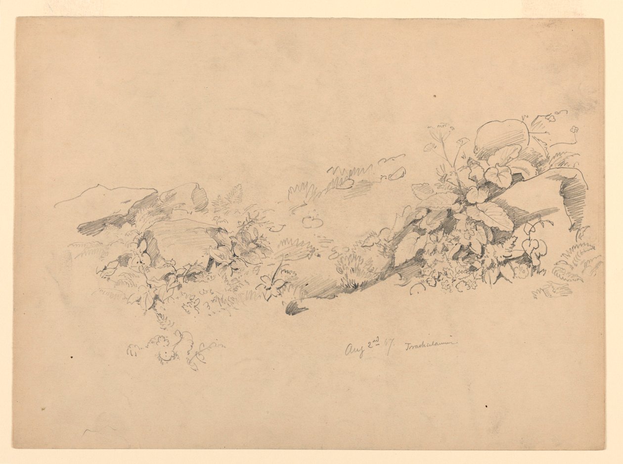 Yeşillik çalışması, Trachselwald, Bern, İsviçre by William Trost Richards