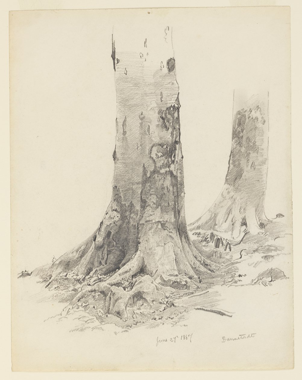 Ağaç Gövdeleri, Darmstadt by William Trost Richards