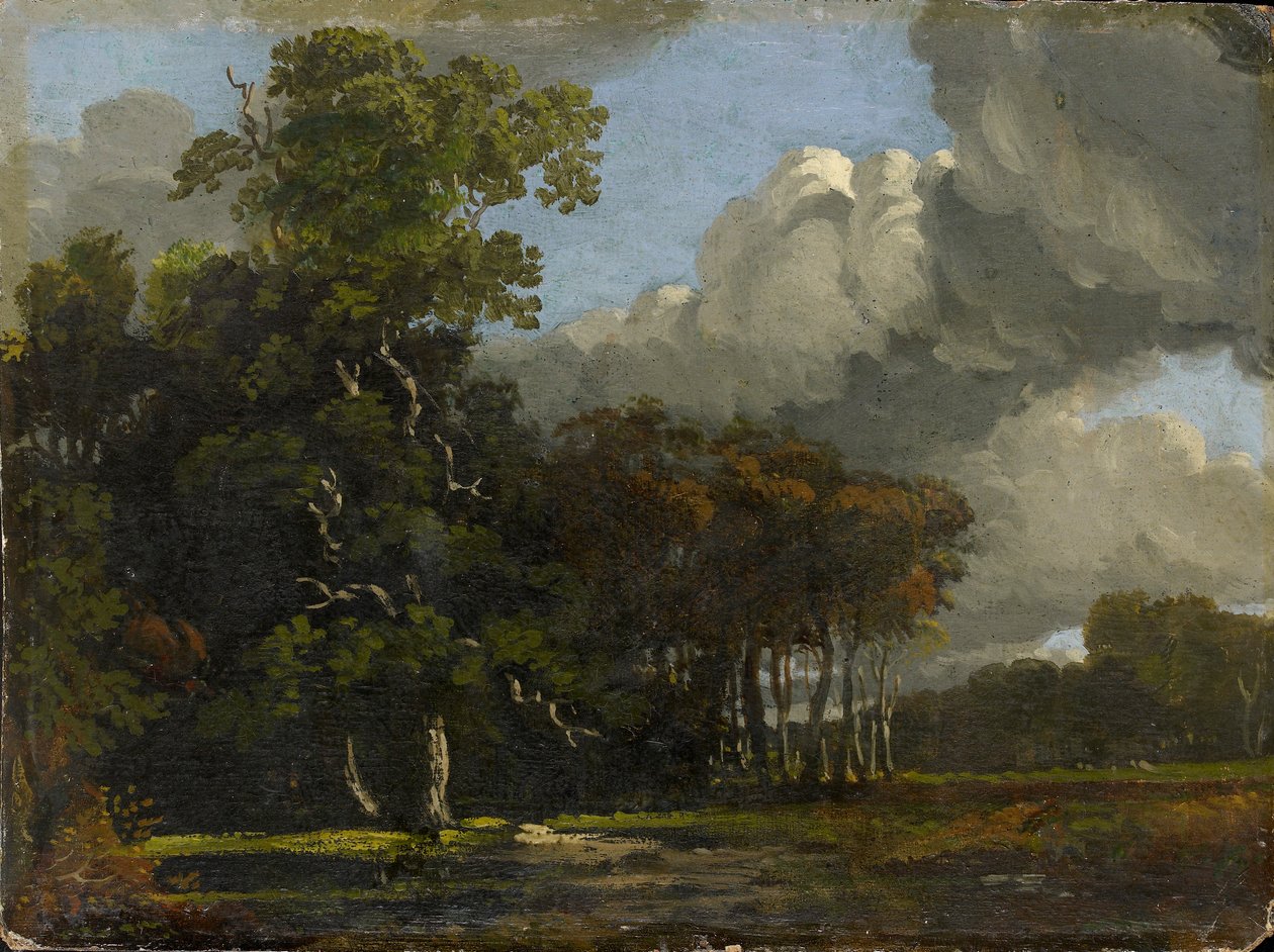 Orman Manzarası, c1816-1820 by Joseph Mallord William Turner