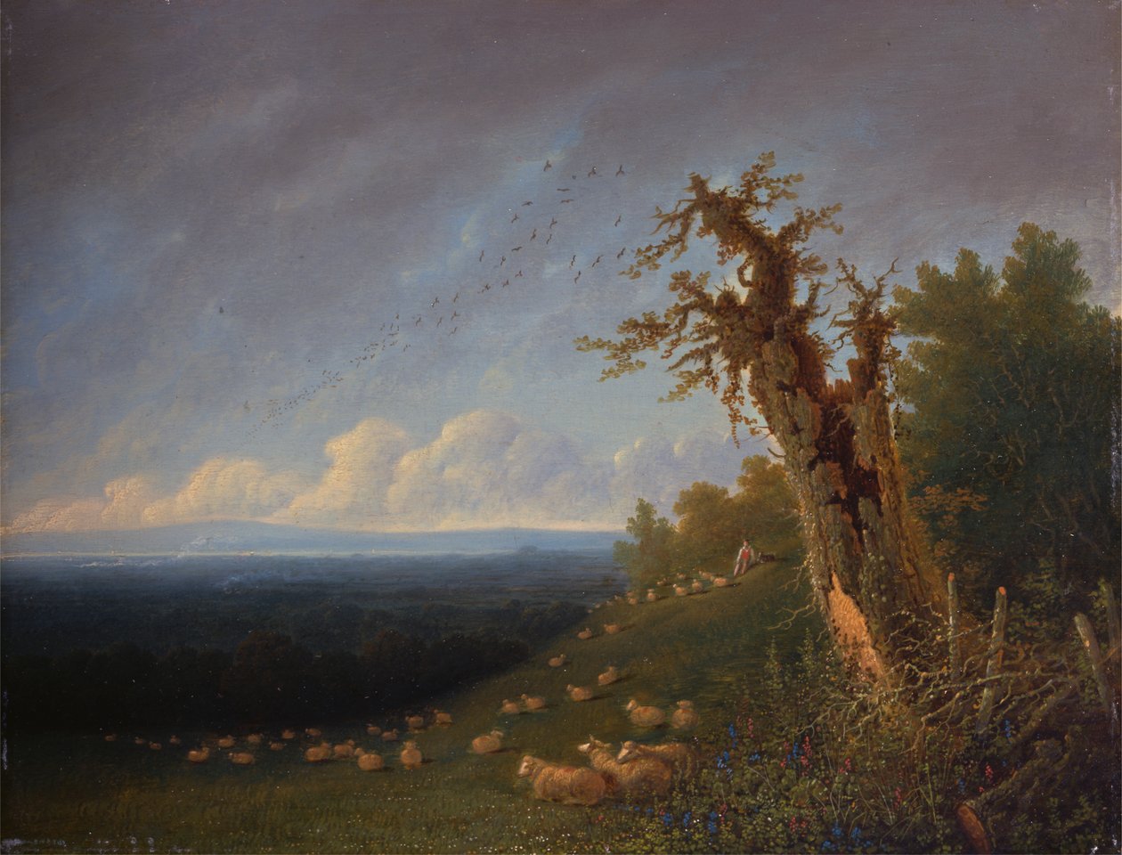 Bir Yamaçta Çoban Çocuk by William Turner of Oxford