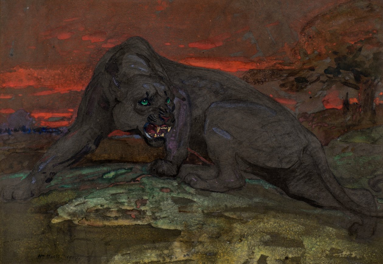 Siyah Panter by William Walls