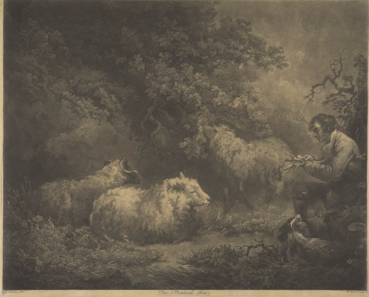 Çoban Oğlan by William Ward