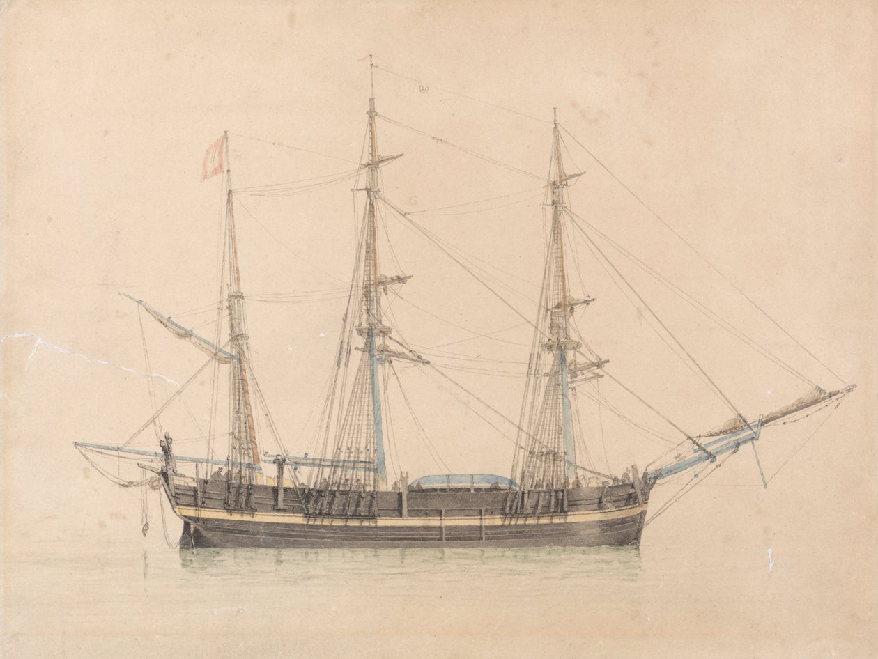 Hull'ın Balina Avcısı "Truelove" by William Ward